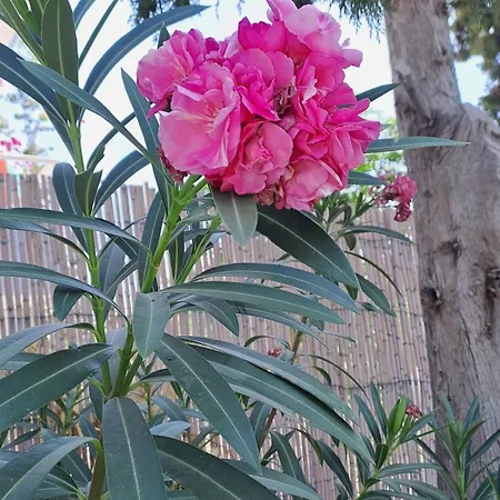 Deja Blue Вилла Архангелос