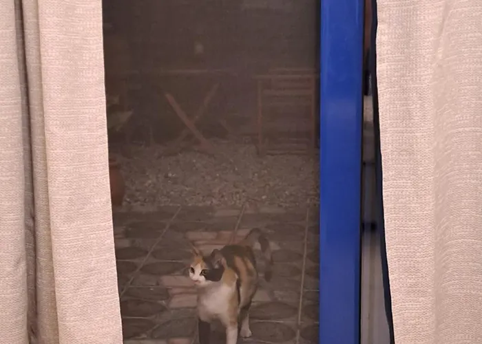 Deja Blue فيلة أرخانجلوس