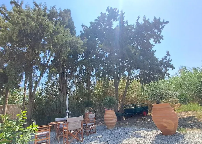 فيلة Deja Blue *