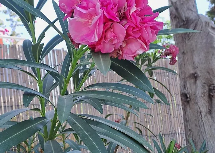 Deja Blue Villa Archangelos (Rhodes)